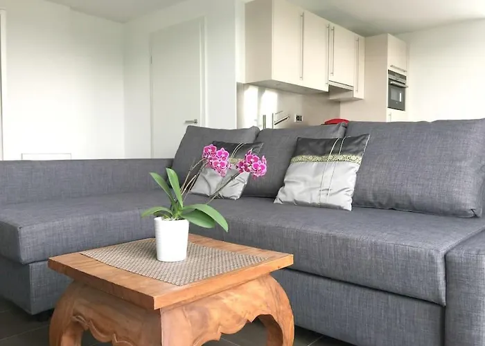 Modern Little Gem Close To Lake Thun