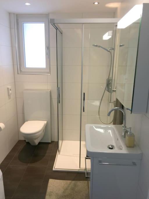 Modern Little Gem Close To Thun